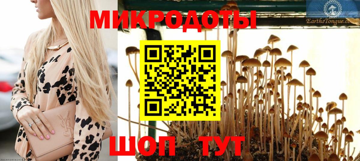 Псилоцибиновые грибы Psilocybe  Вход с VPN  Орёл 